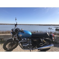 Royal Enfield au milieu de la Camargue à Aigues Mortes en compagnie des flamands roses. Vous aussi, venez la louer !