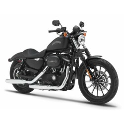 Harley Davidson Iron 883 :...