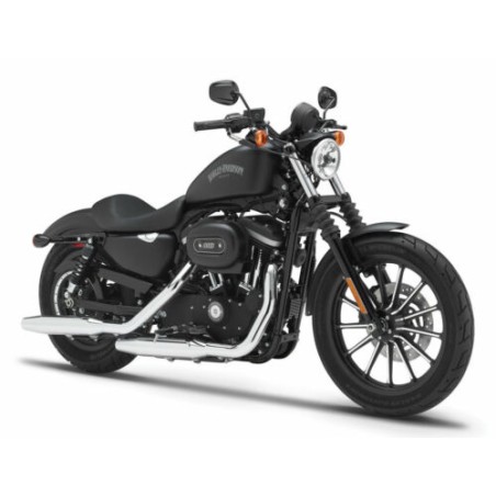 Harley Davidson Iron 883 : Location Moto