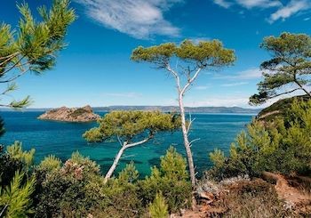 Louer une moto chez SH MotoRent : L'option idéale pour des vacances inoubliables SH MotoRent Louer une moto chez SH MotoRent : L'option idéale pour des vacances inoubliables SH MotoRent
